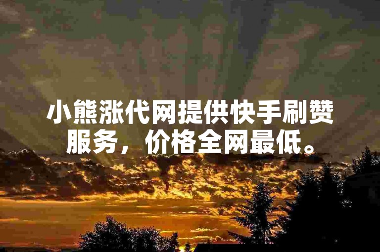 小熊涨代网提供快手刷赞服务，价格全网最低。