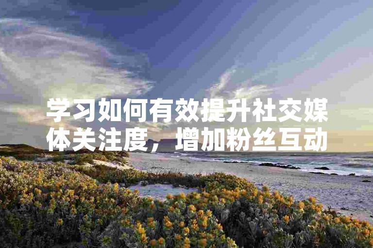 学习如何有效提升社交媒体关注度，增加粉丝互动。