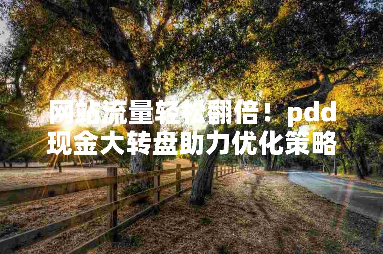 网站流量轻松翻倍!pdd现金大转盘助力优化策略,助你排名飙升至顶端!