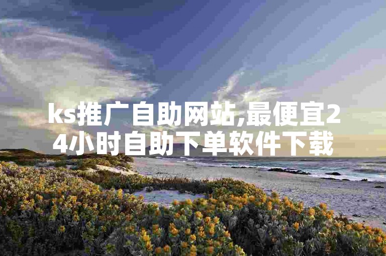 ks推广自助网站,最便宜24小时自助下单软件下载