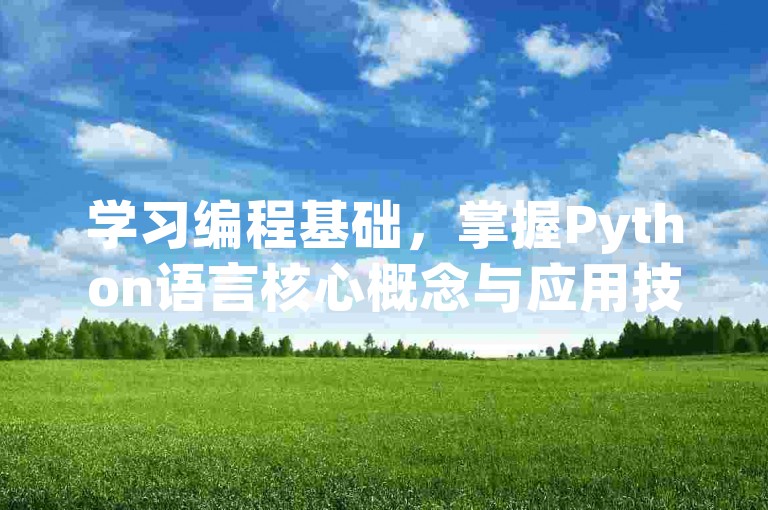 学习编程基础，掌握Python语言核心概念与应用技巧。