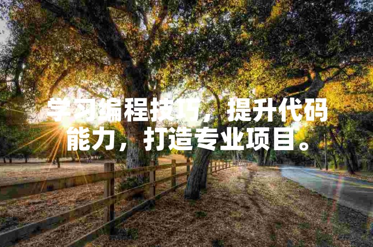 学习编程技巧,提升代码能力,打造专业项目。