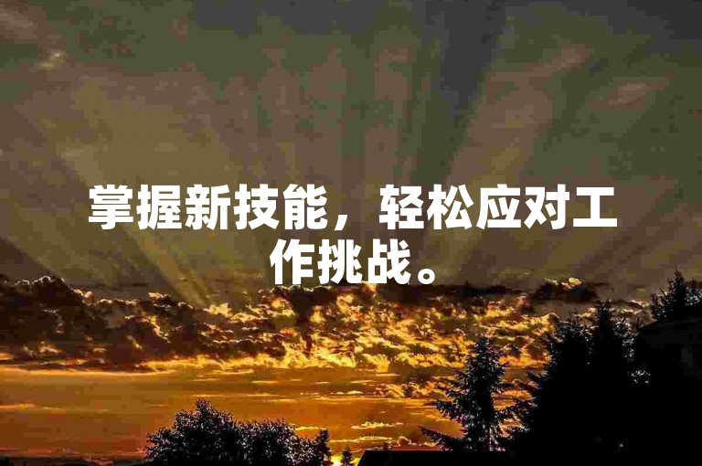 掌握新技能,轻松应对工作挑战。