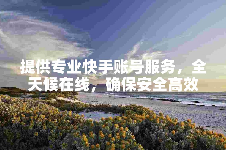 提供专业快手账号服务，全天候在线，确保安全高效。