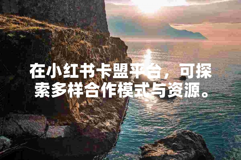 在小红书卡盟平台，可探索多样合作模式与资源。