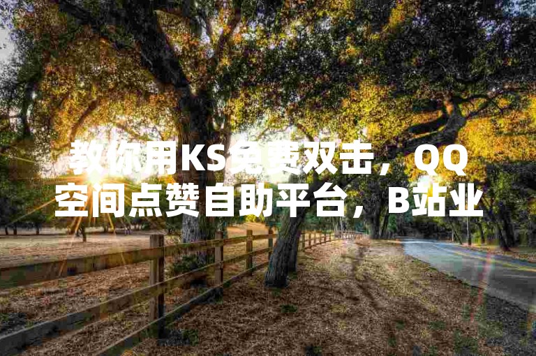 教你用KS免费双击，QQ空间点赞自助平台，B站业务下单。