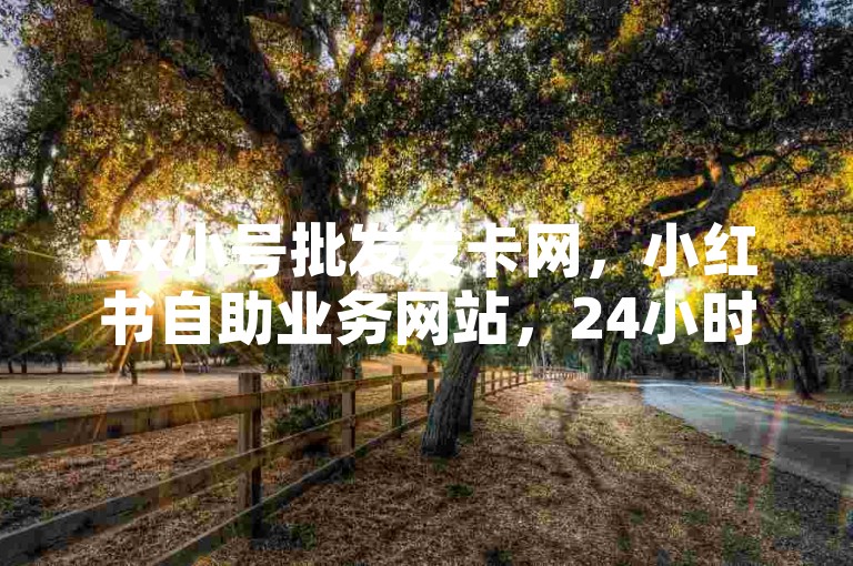 vx小号批发发卡网，小红书自助业务网站，24小时全自助下单平台。
