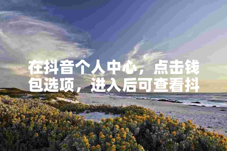 在抖音个人中心,点击钱包选项,进入后可查看抖币充值记录。