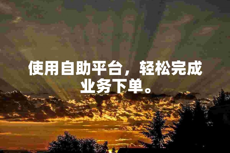 使用自助平台，轻松完成业务下单。
