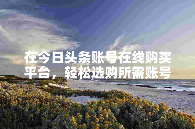 在今日头条账号在线购买平台，轻松选购所需账号。