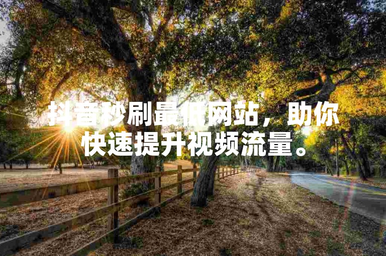抖音秒刷最低网站，助你快速提升视频流量。
