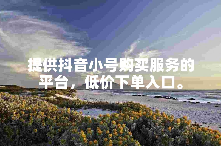 提供抖音小号购买服务的平台，低价下单入口。
