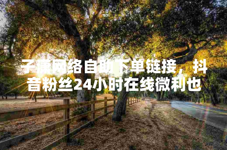 子潇网络自助下单链接,抖音粉丝24小时在线微利也疯狂!