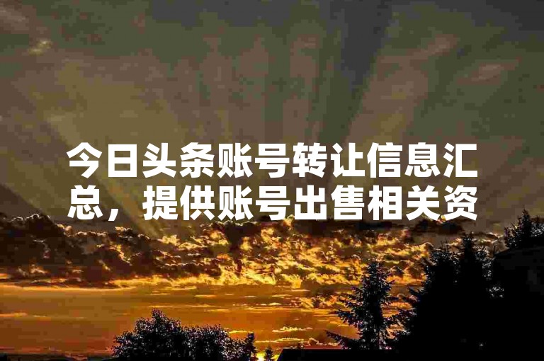 今日头条账号转让信息汇总，提供账号出售相关资讯。