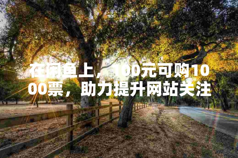 在闲鱼上，100元可购1000票，助力提升网站关注度。