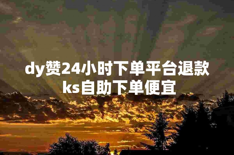 dy赞24小时下单平台退款 ks自助下单便宜