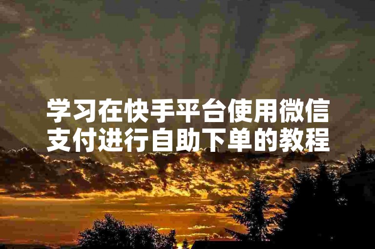 学习在快手平台使用微信支付进行自助下单的教程。