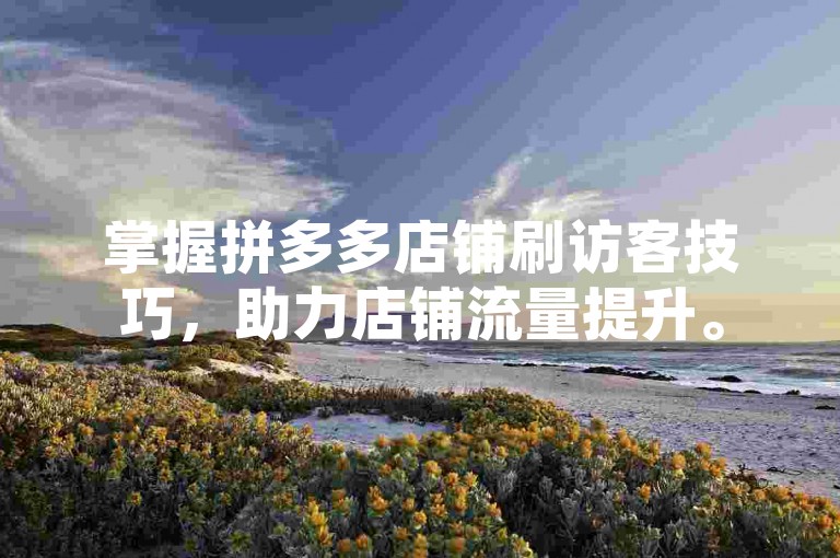 掌握拼多多店铺刷访客技巧,助力店铺流量提升。