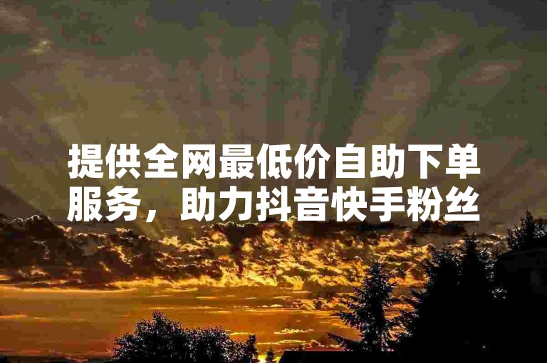 提供全网最低价自助下单服务，助力抖音快手粉丝增长。