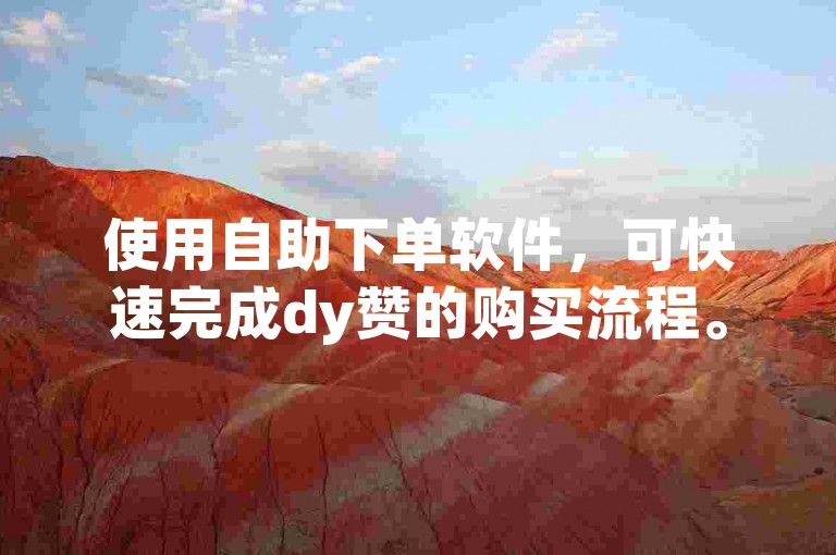 使用自助下单软件,可快速完成dy赞的购买流程。