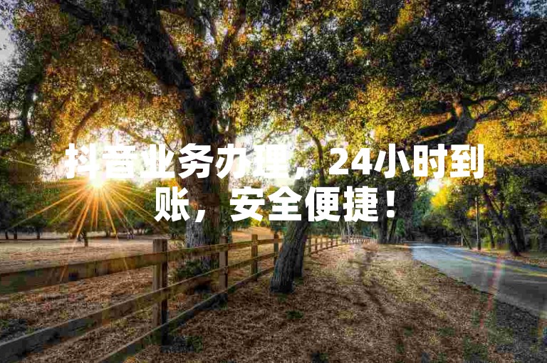 抖音业务办理，24小时到账，安全便捷！