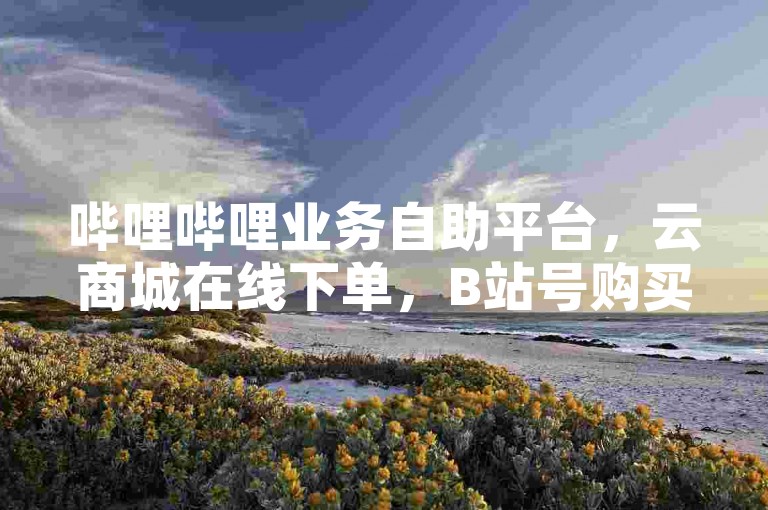 哔哩哔哩业务自助平台，云商城在线下单，B站号购买自动发卡网。