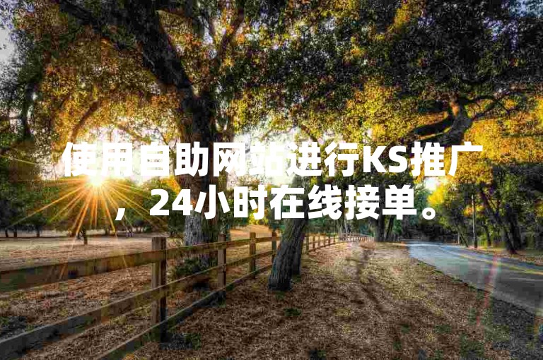 使用自助网站进行KS推广，24小时在线接单。