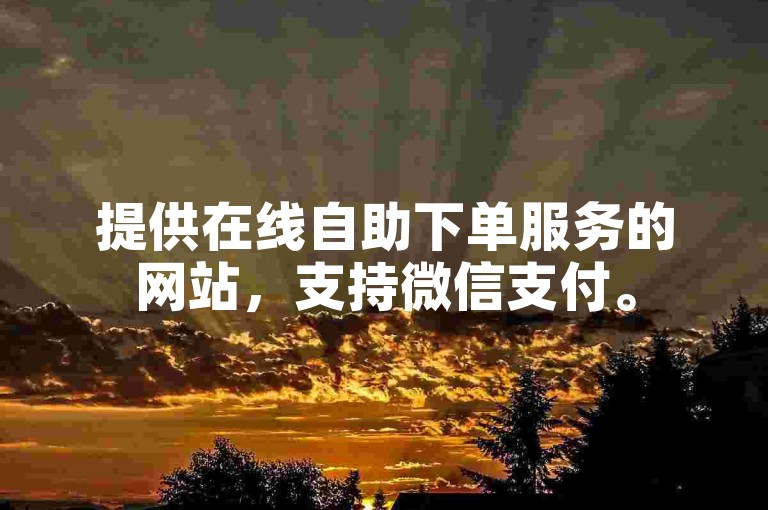 提供在线自助下单服务的网站，支持微信支付。