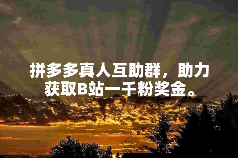 拼多多真人互助群，助力获取B站一千粉奖金。