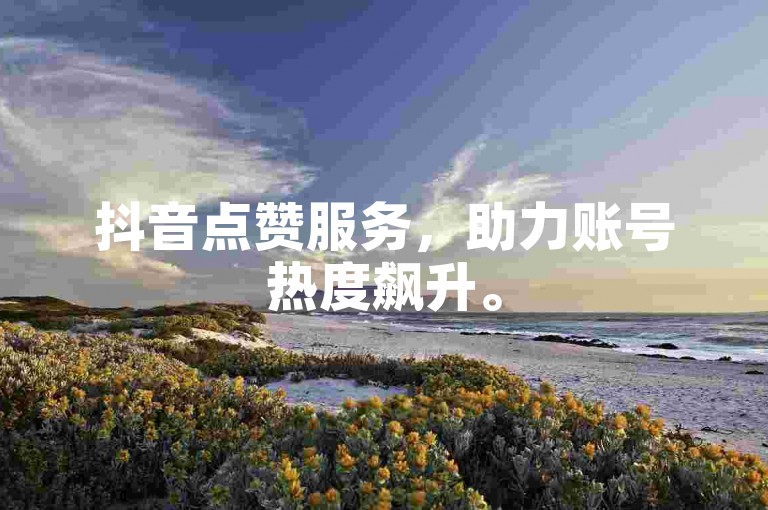 抖音点赞服务，助力账号热度飙升。