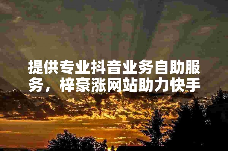 提供专业抖音业务自助服务，梓豪涨网站助力快手用户。