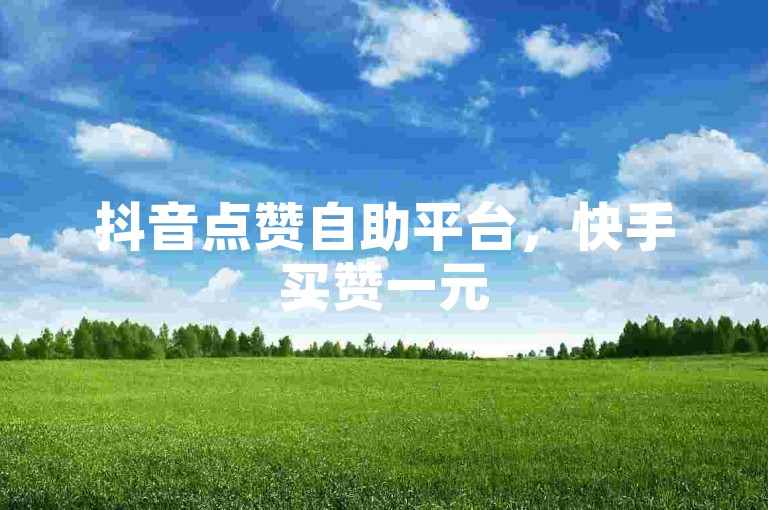 抖音点赞自助平台,快手买赞一元500。