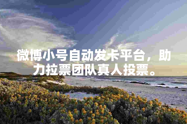 微博小号自动发卡平台，助力拉票团队真人投票。