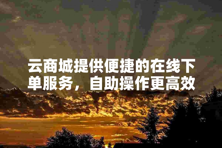 云商城提供便捷的在线下单服务，自助操作更高效。