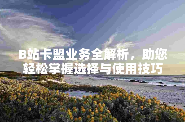 B站卡盟业务全解析，助您轻松掌握选择与使用技巧！