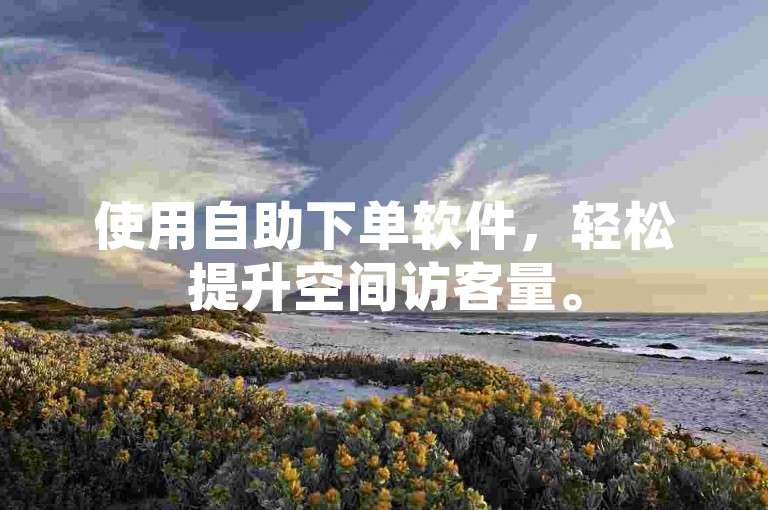 使用自助下单软件,轻松提升空间访客量。