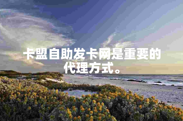 卡盟自助发卡网是重要的代理方式。