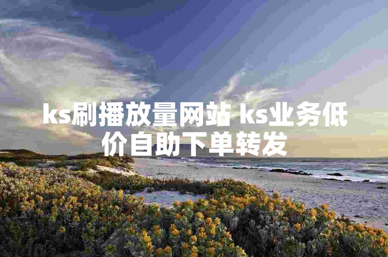ks刷播放量网站 ks业务低价自助下单转发