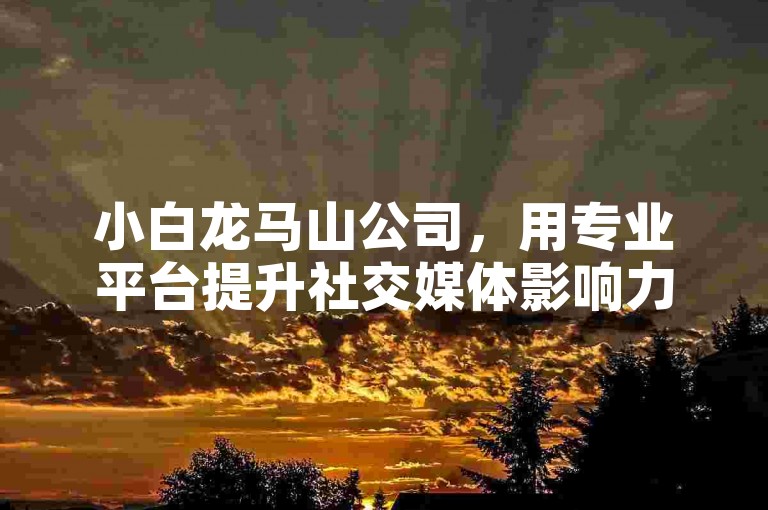 小白龙马山公司，用专业平台提升社交媒体影响力，仅需0.01元！