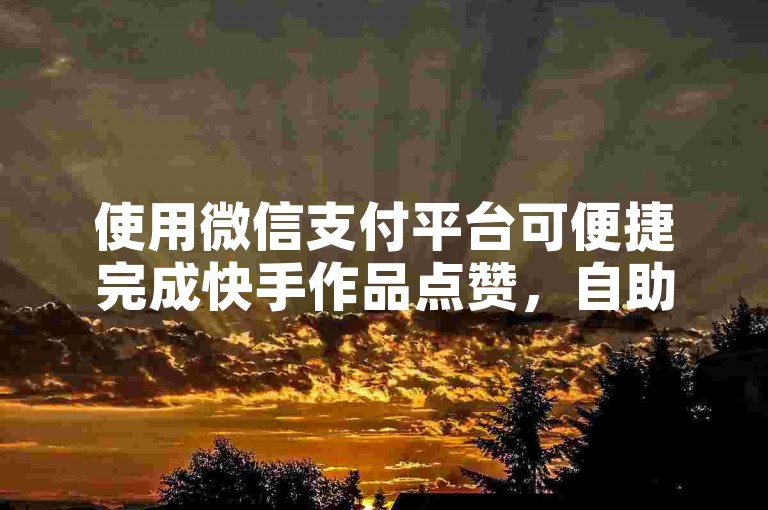 使用微信支付平台可便捷完成快手作品点赞，自助下单享优惠。
