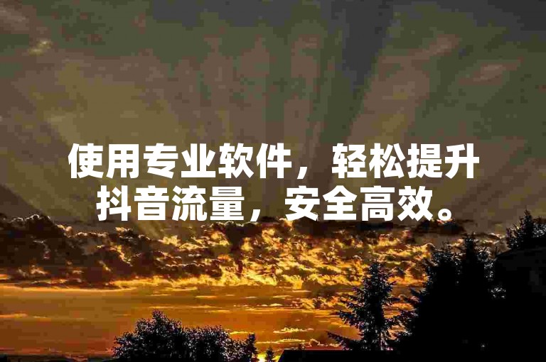 使用专业软件，轻松提升抖音流量，安全高效。