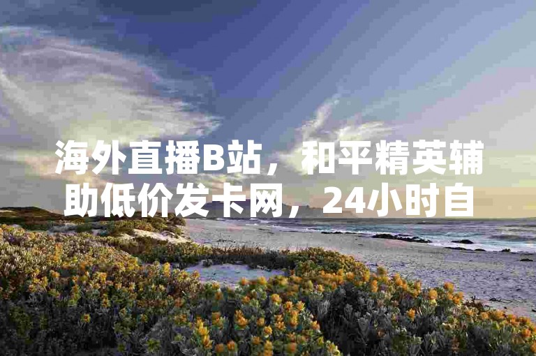 海外直播B站，和平精英辅助低价发卡网，24小时自助下单商城。