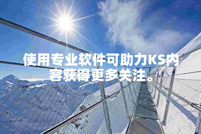 使用专业软件可助力KS内容获得更多关注。