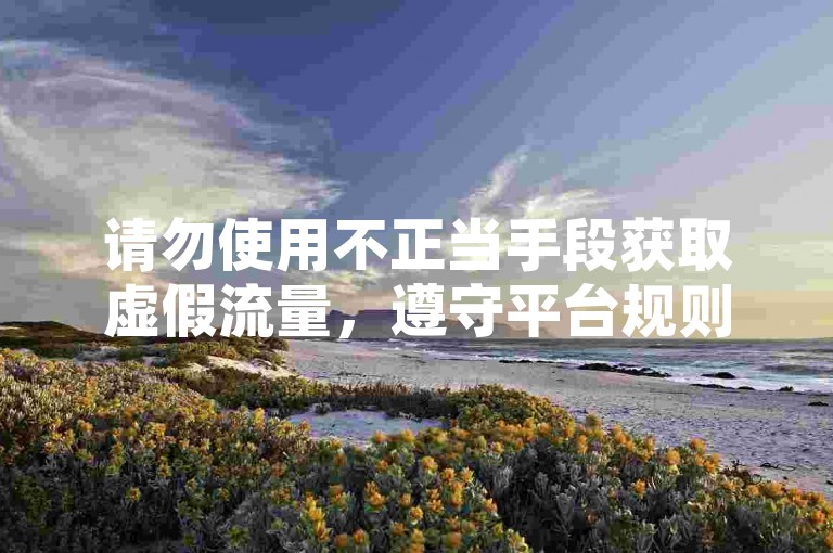 请勿使用不正当手段获取虚假流量，遵守平台规则。