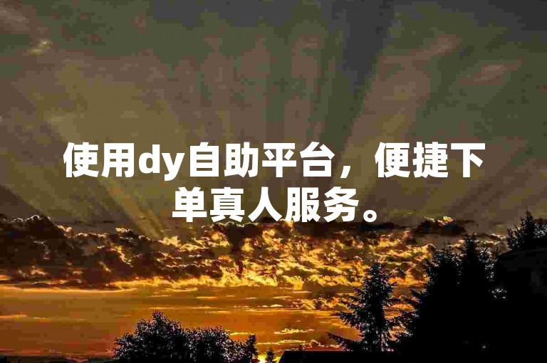 使用dy自助平台，便捷下单真人服务。