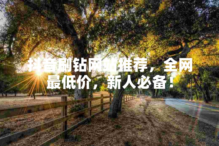 抖音刷钻网站推荐,全网最低价,新人必备!