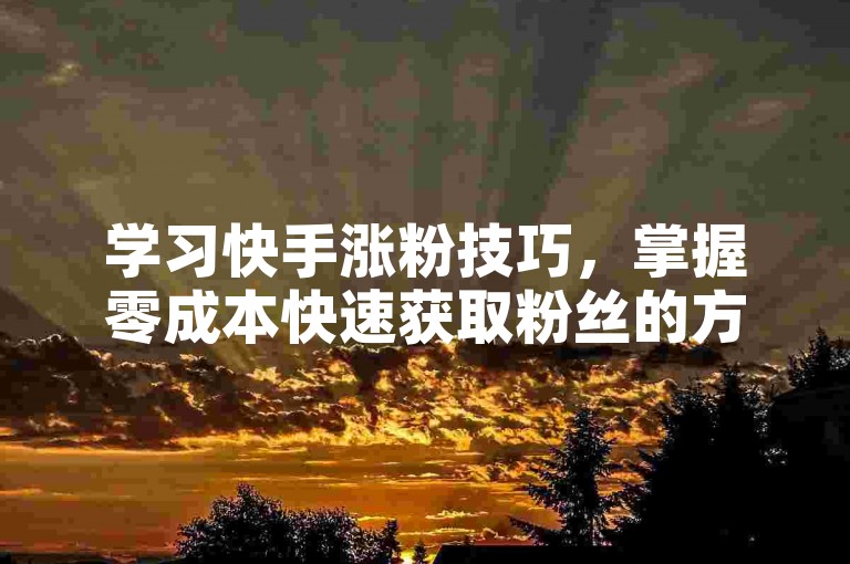 学习快手涨粉技巧，掌握零成本快速获取粉丝的方法。