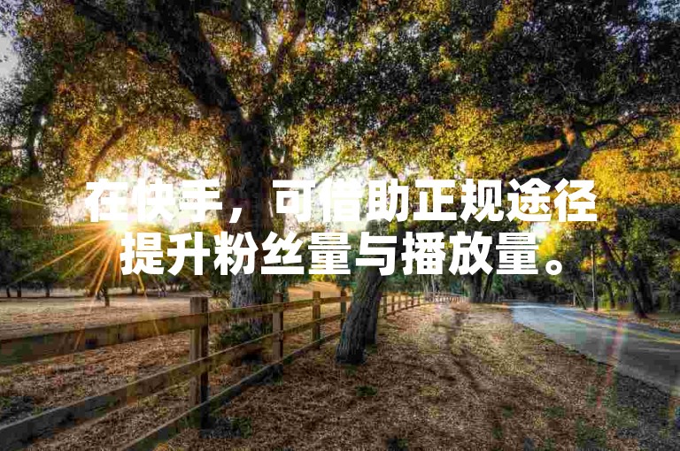 在快手，可借助正规途径提升粉丝量与播放量。