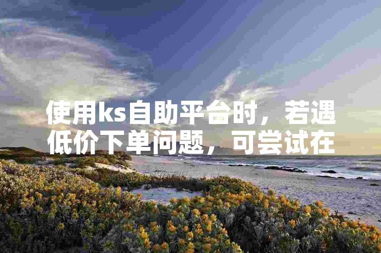 使用ks自助平台时，若遇低价下单问题，可尝试在抖音在线下单自助解决。