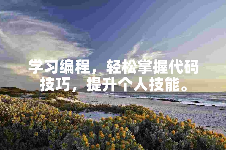 学习编程,轻松掌握代码技巧,提升个人技能。